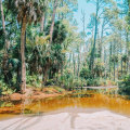 The Best Restaurants in Southeast SC with a View of the Marsh or Wetlands